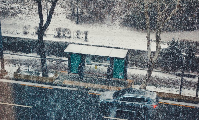 neve meteo