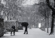 neve