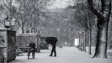 neve
