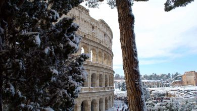 neve roma