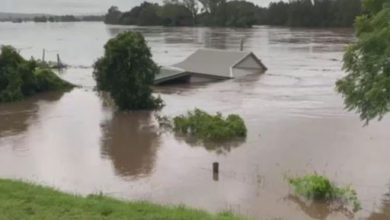 cambiamenti climatici