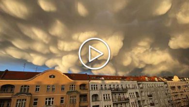 berlino mammatus