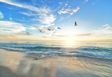 Giornata Mondiale della Meteorologia - Oceano