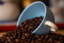 deforestazione e abitudini alimentari