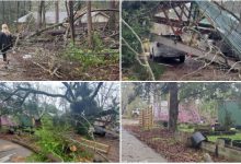 tornado usa marzo 2021