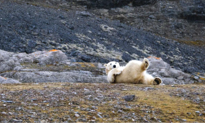 svalbard norvegia parco nazionale