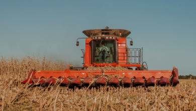 clima agricoltura