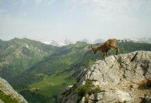 cambiamenti climatici alpi