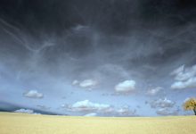 desertificazione siccità