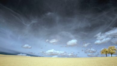 desertificazione siccità