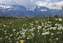 circolazione atmosferica primavera