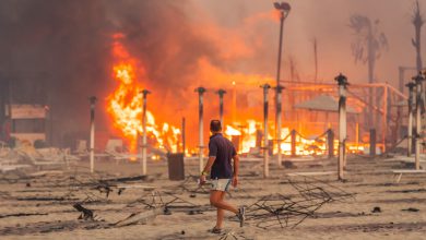 Catania incendi