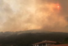 Sardegna incendi