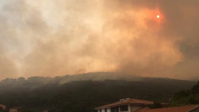 Sardegna incendi