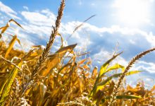 giugno siccità caldo italia