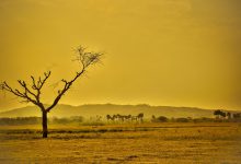 clima giugno 2021