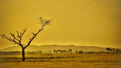 clima giugno 2021