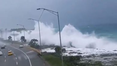 tempesta elsa florida