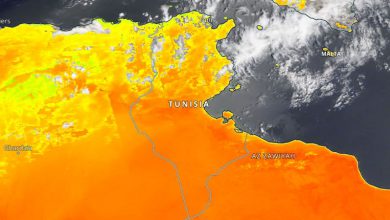 caldo tunisia