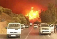 incendi Grecia algeria