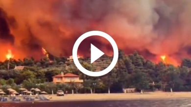 incendi grecia