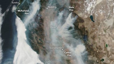 incendi fumo nascite premature