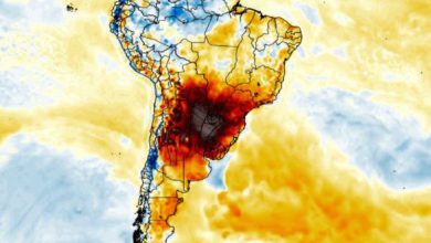 caldo inverno paraguay