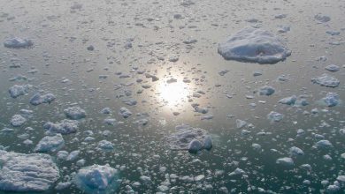 groenlandia pioggia caldo ghiacci