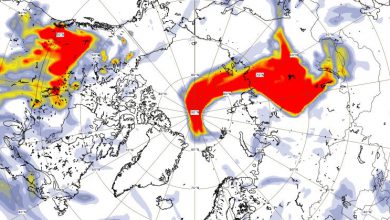 incendi-siberia-fumo