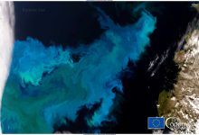 Oceani