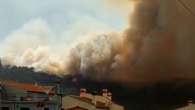 incendio andalusia