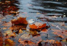meteo autunno pioggia halloween
