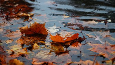 meteo autunno pioggia halloween