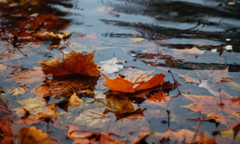 meteo autunno pioggia halloween