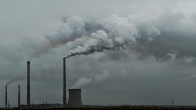 carbon tax
