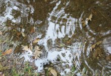 pioggia autunno