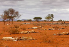 Kenya
