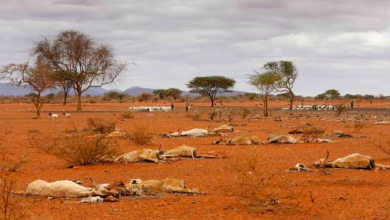 Kenya