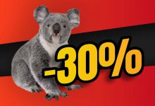 koala wwf