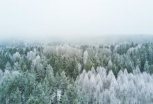 freddo previsioni meteo