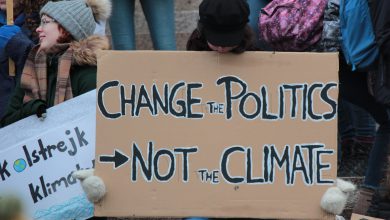 clima transizione ecologica protesta ambientalismo attivismo