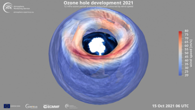 buco ozono
