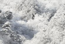 Giappone neve