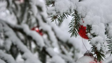 meteo neve natale