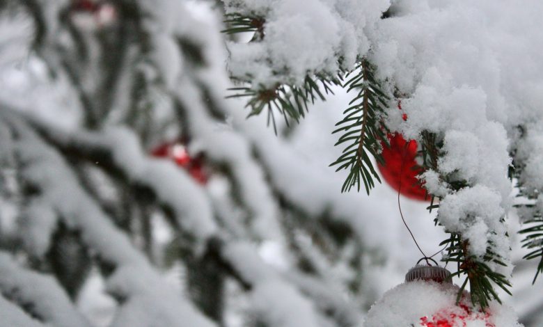 meteo neve natale
