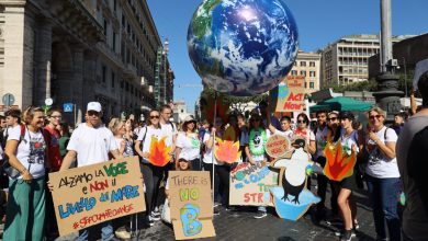 wwf manifestazione 2021 clima attivismo fridays for future