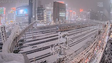 neve tokyo