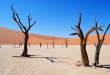 fondi adattamento cambiamenti climatici