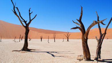 fondi adattamento cambiamenti climatici