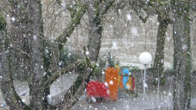 neve ghiaccio stati uniti